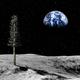 Image for article titled NASA Builds 4G Tower On Moon Tastefully Disguised As Pine Tree